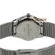 Skagen Skw2044 Damenuhr - Grenen Dänemark - Silber Zifferblatt Stahl Netzarmband Armbanduhren Bild 3