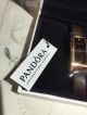 Pandora Double Oblong Watch Rosegold 812064rg Armbanduhren Bild 3