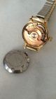 Breitling Geneve Automatic Uhr Date 21 Jewels Swiss Watch 1965 Armbanduhren Bild 2