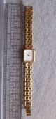 Uhr Für Damen Orion Swiss Quartz Stahl Goldfarben Armbanduhren Bild 2
