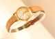 Omega Geneve - Damenarmbanduhr Vergoldet / Handaufzug / Lederarmband Armbanduhren Bild 1