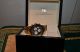 Constantin Durmont Chronograph ( ((keramik Glieder Und Lünette, )) ) Armbanduhren Bild 7