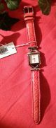 Neue Tommy Hilfiger Damenuhr Mit Roten Armband In Kroko Optik Armbanduhren Bild 2
