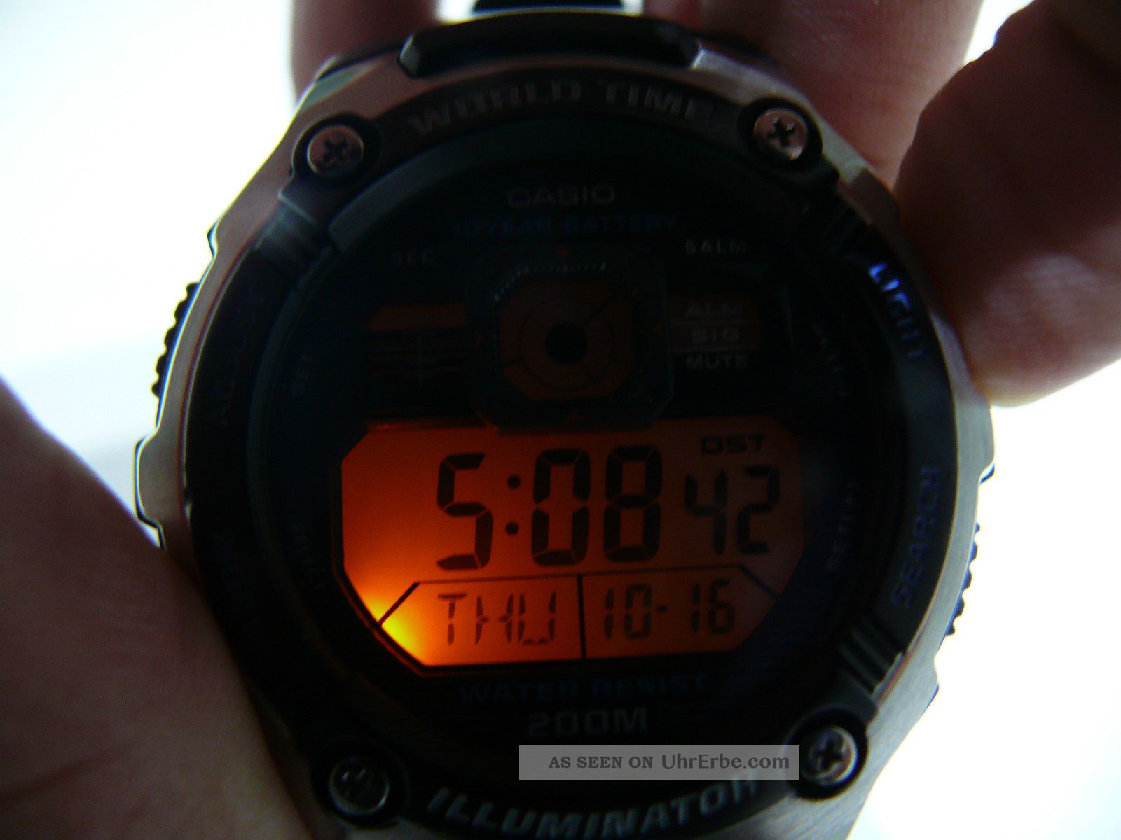 casio module 3199