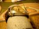 Emporio Armani Elegante Herren Uhr Armbanduhren Bild 2