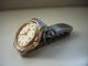 Tissot - T Classic Pr - 50 Damenuhr Teil - Vergoldet Bald Wie Ungetragen Eine Traumuhr Armbanduhren Bild 6