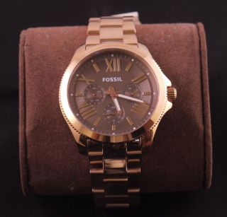 Fossil Cecile Am4533 Damenuhr / Ovp Bild