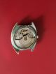 Vintage Klassische Normandia 55 Herrenarmbanduhr Automatic, Armbanduhren Bild 1