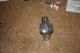 Efa - 135d - 1a4vef Casio Edifice Armbanduhren Bild 2