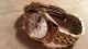 Vintage Orient Kaliber 46943 23 Jewels Made In Japan Armbanduhren Bild 6
