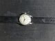 Interessante Ca.  60 Jahre Alte Pallas Herrenuhr,  Handaufzug Kal.  Fef 350 Armbanduhren Bild 1