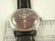 Hmt Javan Armbanduhr Handaufzug Mechanisch Vintage Sammleruhr 137 Armbanduhren Bild 1