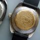 Alte Uhren Konvolut Pallas Eppo,  Seawatch - Handaufzug Mechanisch Armbanduhren Bild 10