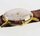 Stowa Parat Watch Damen Herren Uhr 1950 /60 Handaufzug Lagerware Nos Vintage 51 Armbanduhren Bild 3