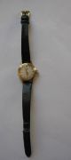 Elegante Goldene Tissot Damenuhr Lady Ca.  1960 Handaufzug Vintage Armbanduhren Bild 1