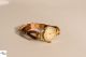 Mido Vergoldete Damen Armbanduhr Sammlerstück Armbanduhren Bild 1