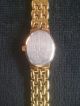Sehr Schöne,  Elegante Damen Armbanduhr,  Citizen Watch Hart Vergoldet Armbanduhren Bild 1