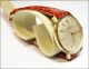 Breitling Geneve 1950 - 60 Goldhaube Handaufzug 2936 Armbanduhren Bild 3