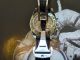 Omega Speedmaster Professional Moon M.  Box Und Papiere Top Armbanduhren Bild 4
