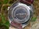 Große Herrenarmbanduhr Trumpf Um 1950 Automatik Armbanduhren Bild 2