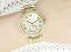 Michael Kors Uhr Mk5867 Skylar Gold Parker Damenuhr Neues Modell Armbanduhren Bild 3