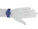 Lacoste Uhr Unisex Damen Herren 2020042 Silikon Blau Armbanduhren Bild 1