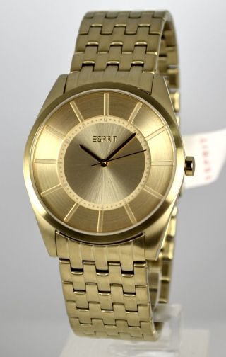 Esprit Es104201007 Herrenuhr Xl Slim ' S Men Gold Armbanduhr Bild