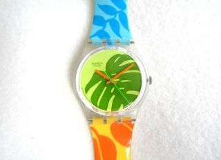 Swatch Gent Rainbow Garden - Gk369 - Ungetragen Bild