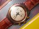 Swatch Chrono Goldfinger In & Ovp,  Neuer Batterie Scm100 Armbanduhren Bild 3