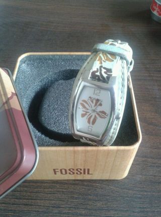 Fossiluhr Bild