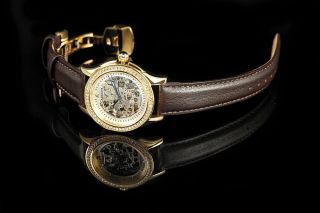 Carucci Damen Automatik Uhr Damenuhr Ca2212gd Braun Vergoldet Carini Bild