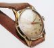 Osco Parat Watch Damen Herren 1950 /1960 Handaufzug Lagerware Nos Vintage 77 Armbanduhren Bild 1