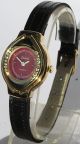 Ungetragene Gub GlashÜtte Damenarmbanduhr Kaliber Gub 38 Um 1990 Armbanduhren Bild 1