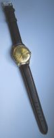 Vintage Watch Oriosa Automatic Swiss Cal As Ms Gold Plaque 10 Automatikuhr Armbanduhren Bild 6