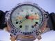 Citizen Promaster Aqualand Taucheruhr Uhr Al0004 - 03w Diver Armbanduhren Bild 1