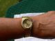 Tcm Damenarmbanduhr Tchibo Uhr Gold Farben Strass/zirkonia Lünette - Lübeck Armbanduhren Bild 1