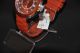 Esprit Es105342019 Damen Armbanduhr Uhr Orange Datum Quarz Mit Etikett Armbanduhren Bild 3