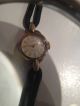Olma 17 Jewels Anno 1953 Vintage Ladies Watch Armbanduhr Swiss Made Armbanduhren Bild 7