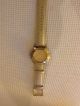 Dkny Donna Karan Uhr,  Gold,  Glitzer,  Ovp Armbanduhren Bild 2