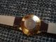 Cmi Wunderschöne,  Goldene Schweizer Herren Uhr Einfach Armbanduhren Bild 2