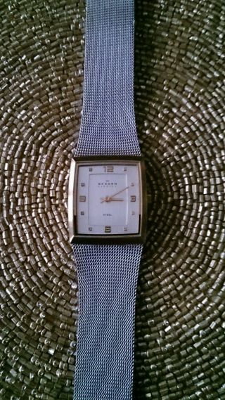 Skagen Damen Uhr Gold Silber 523sgs Bild