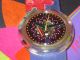 Swatch Pop Special Pwz103pack Veruschka Ungetragen Mit Ovp Armbanduhren Bild 4