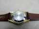 Antike Borgward Armbanduhr Handaufzug 50er Jahre Werbeuhr Vergoldet Armbanduhren Bild 5