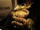 Tolle Damen Roberto Cavalli Schlangenuhr Gold Armbanduhren Bild 2
