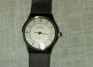 Skagen Designs Steel 233xsgsc Armbanduhr Für Damen Bild