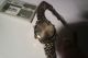 Casio Chrono/alarm Herren Armband Uhr Armbanduhren Bild 2