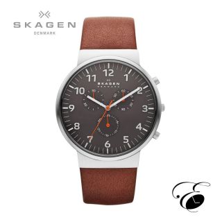 Skagen Skw6099 Uhr Armbanduhr Quarzwerk Analog Bild