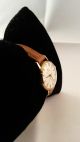 Certina Armbanduhr - Handaufzug - Vintage - Sammler Armbanduhren Bild 1