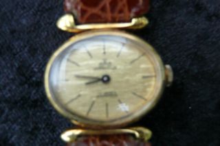 Alte Meisteranker Mechanische Damen Uhr Armbanduhr Damenuhr Wrist Watch Bild