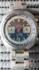 Sabina Chronograph Armbanduhr Für Herren Werk 7733 Vintage Mechanisch Handaufzu Armbanduhren Bild 2